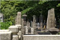 Der Friedhof Yanaka